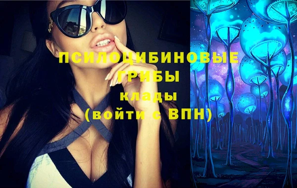 первитин Нея
