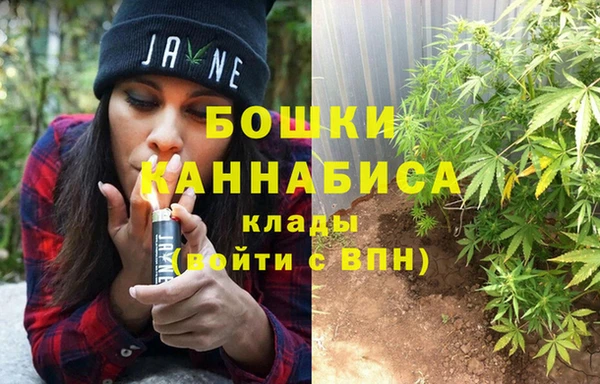 винт Алексин