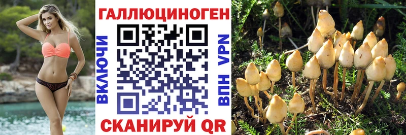 Псилоцибиновые грибы Magic Shrooms  купить наркоту  Перевоз 